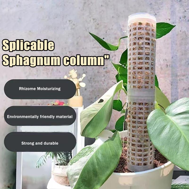 Sphagnum Moss Dry - 6 adet yosun direği plastik bitki