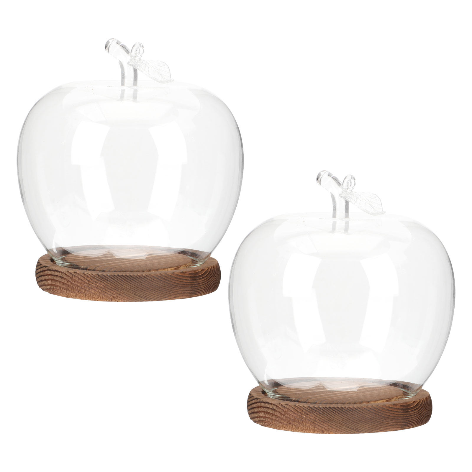 Plastic Dome Clear - 2 Adet Ahşap Tabanlı Şeffaf Cam