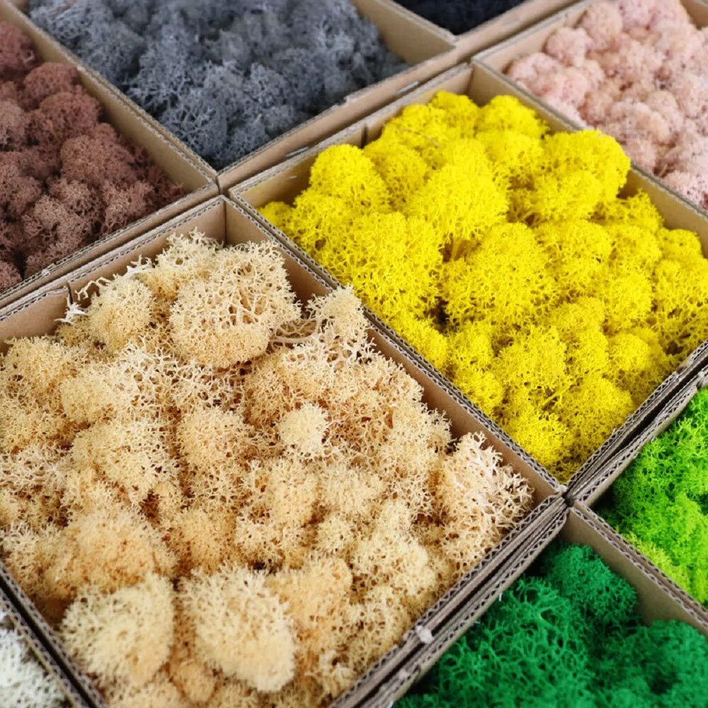 Yapay Yeşil Bitkiler Sonsuz Ya - Sphagnum Moss Dry incelemesi ve fiyatı
