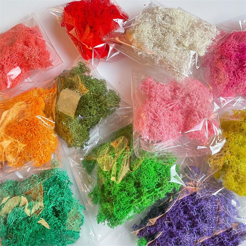 20-200g Yapay Yeşil Bitkiler P - Sphagnum Moss Dry incelemesi ve fiyatı