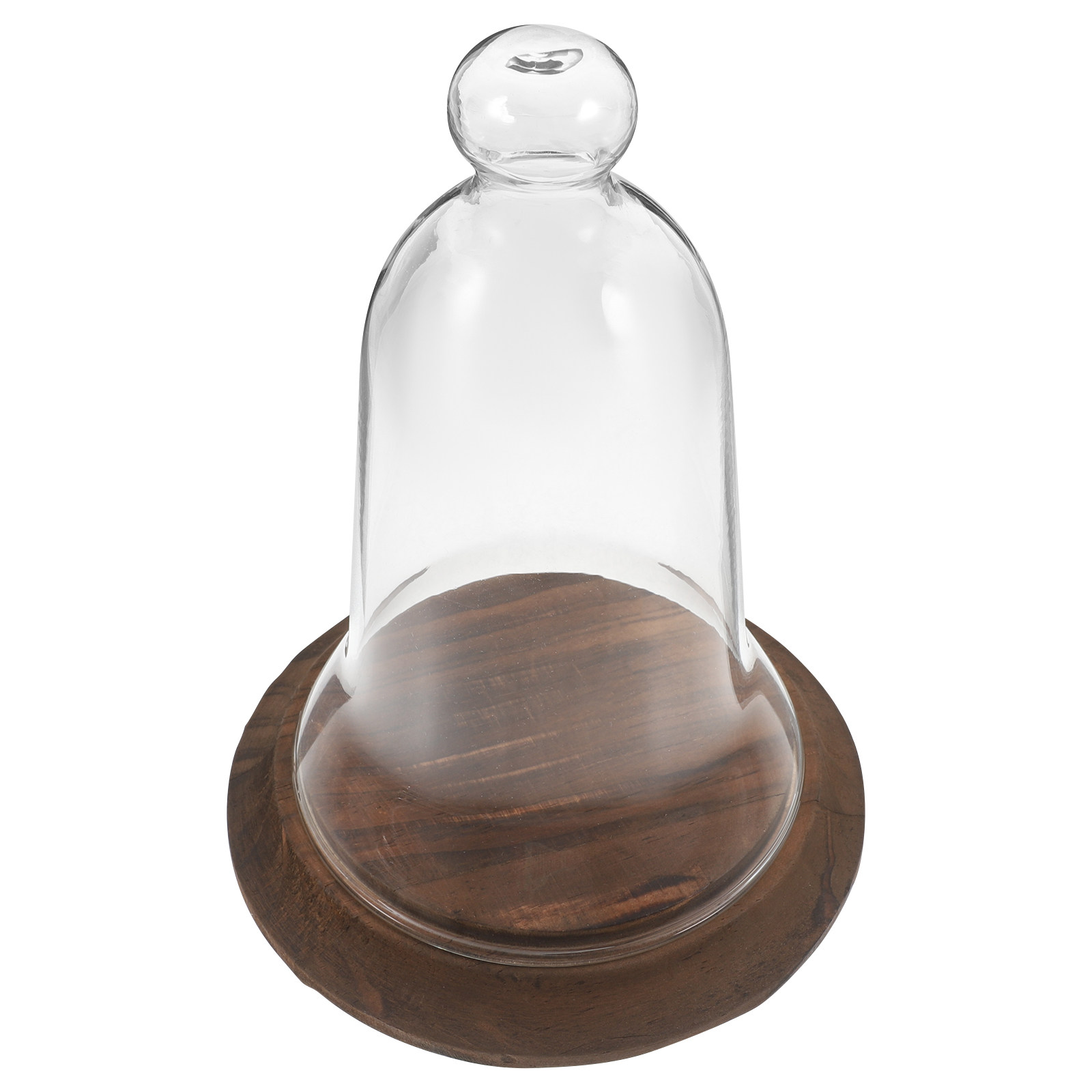 Cam Kubbe Teşhir Kapağı Yüksek - Plastic Dome Clear incelemesi ve fiyatı