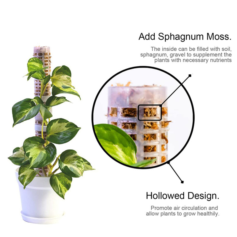 Bitki Tırmanma Desteği Sphagnu - Sphagnum Moss Dry incelemesi ve fiyatı