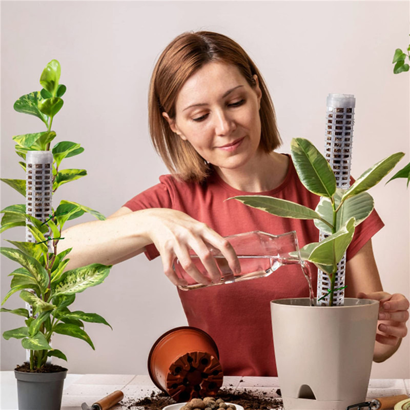 Bitki Tırmanma Desteği Sphagnu - Sphagnum Moss Dry incelemesi ve fiyatı