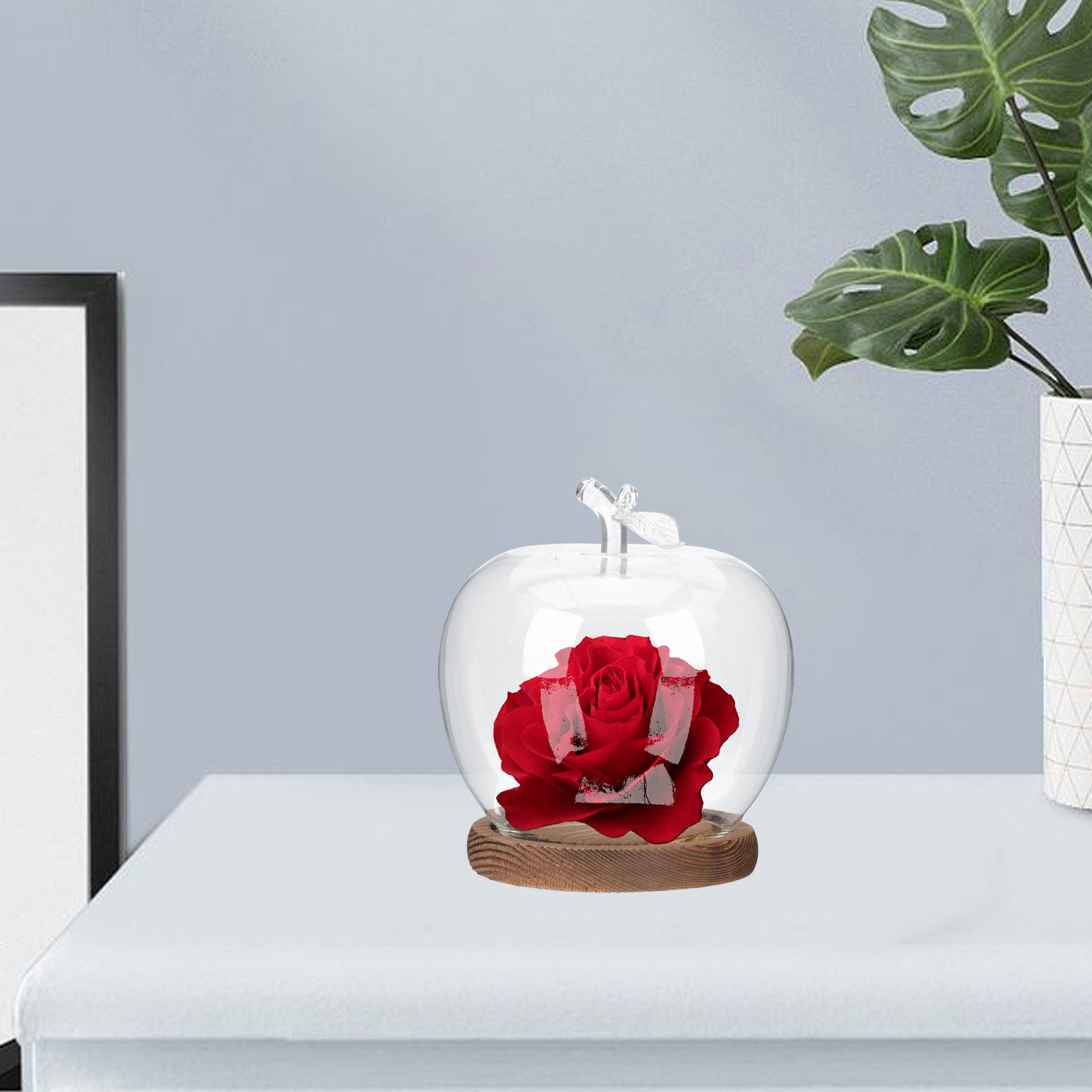 2 Adet Ahşap Tabanlı Şeffaf Ca - Plastic Dome Clear incelemesi ve fiyatı